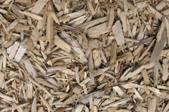 biomass boilers Priestwood