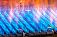 Priestwood gas fired boilers